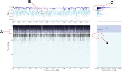 RecruitPlotEasy: An Advanced Read Recruitment Plot Tool for Assessing Metagenomic Population Abundance and Genetic Diversity